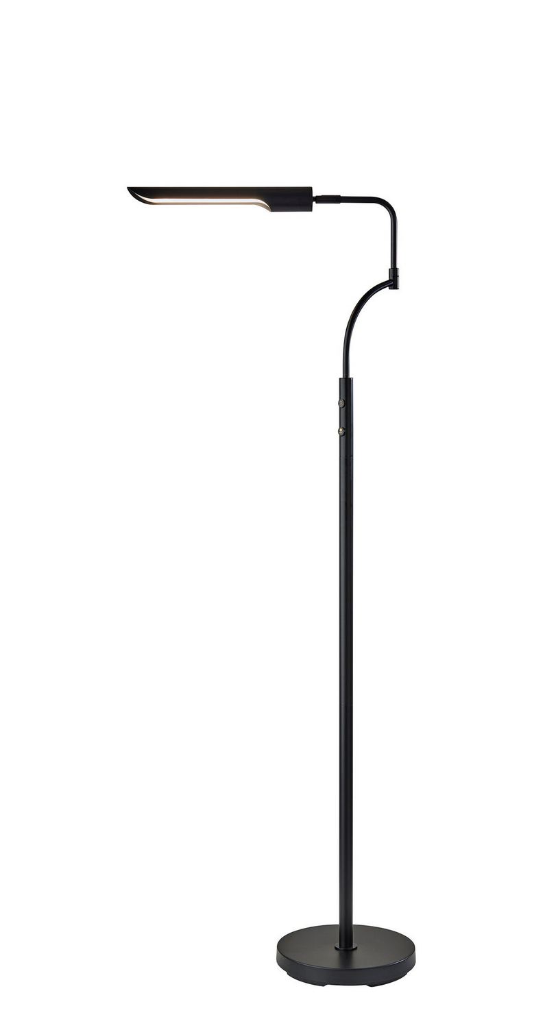 Adesso Home 3958-01 LED Floor Lamp, Black