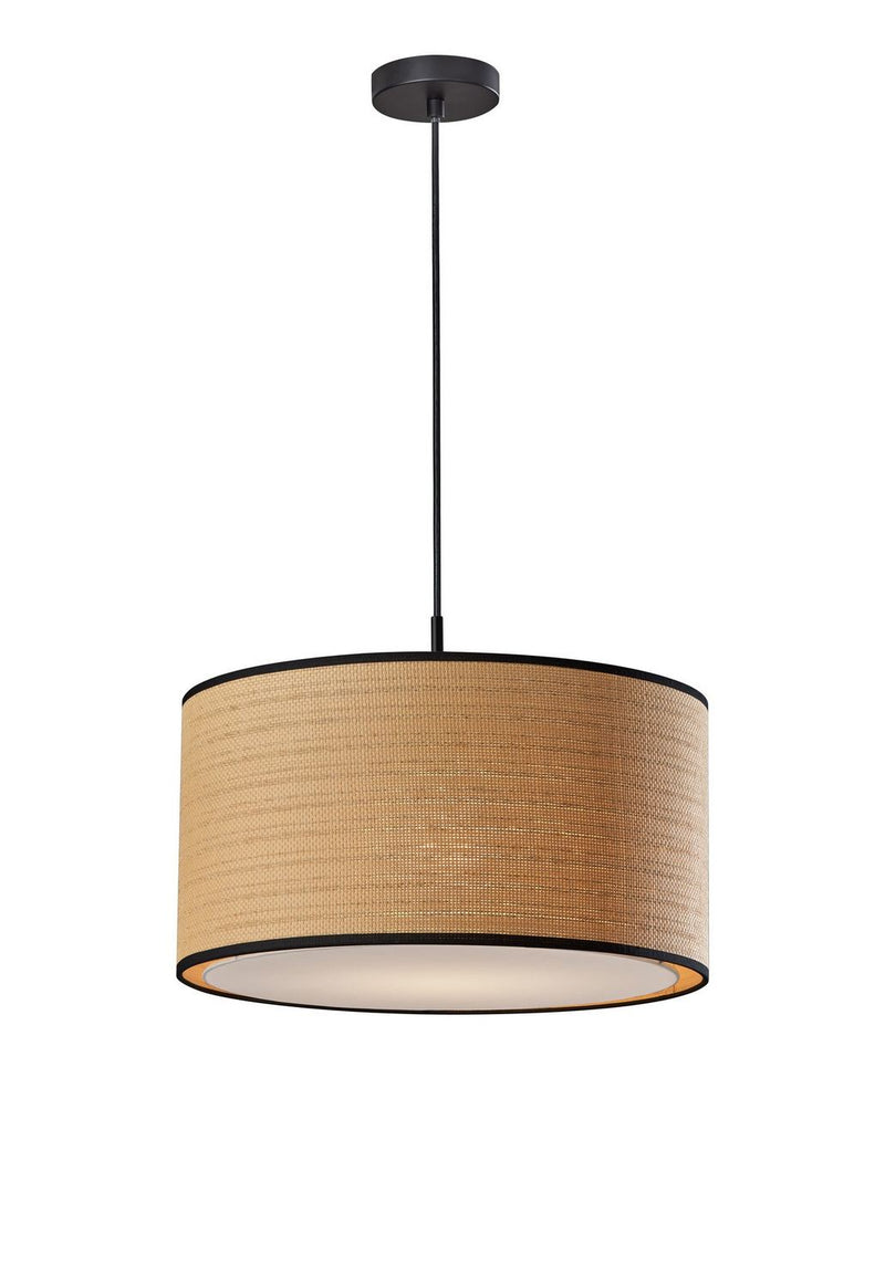 Adesso Home 4003-01 Pendant, Black