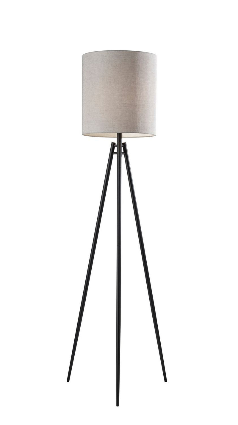 Adesso Home 4037-01 Floor Lamp, Black