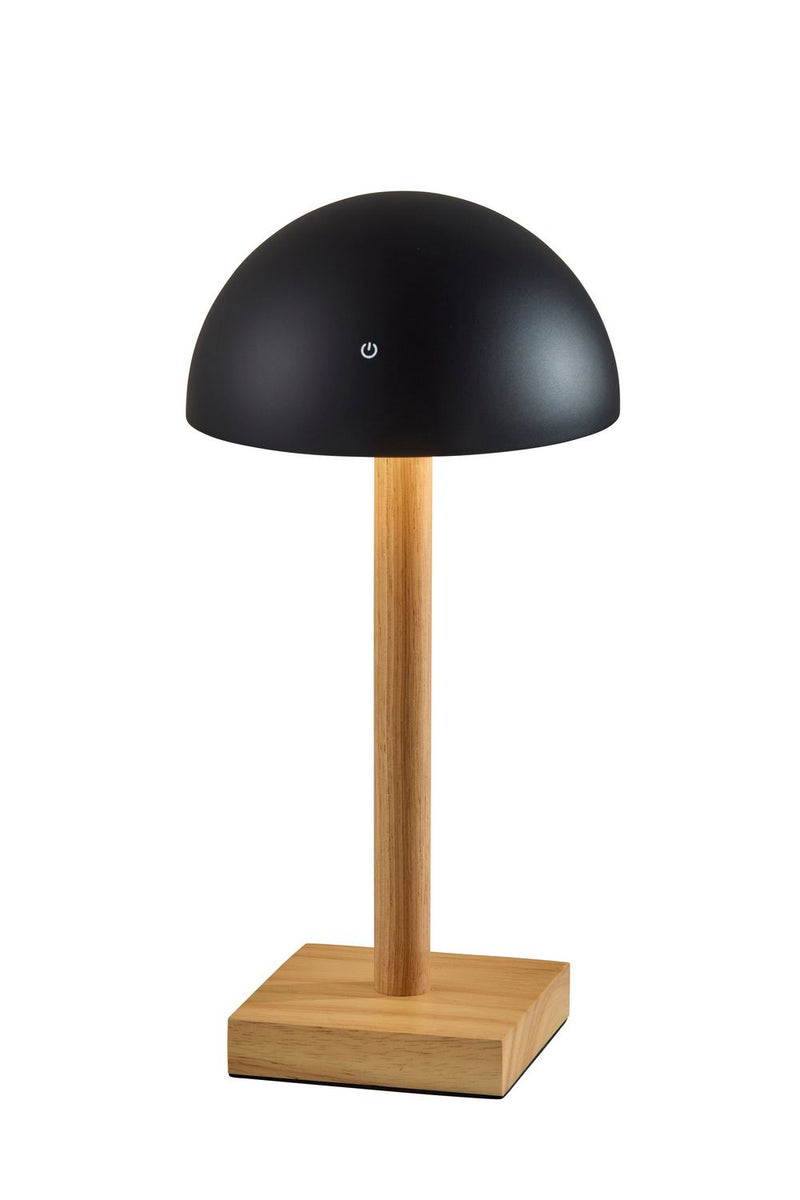 Adesso Home 4065-01 LED Table Lamp, Black & Natural Wood