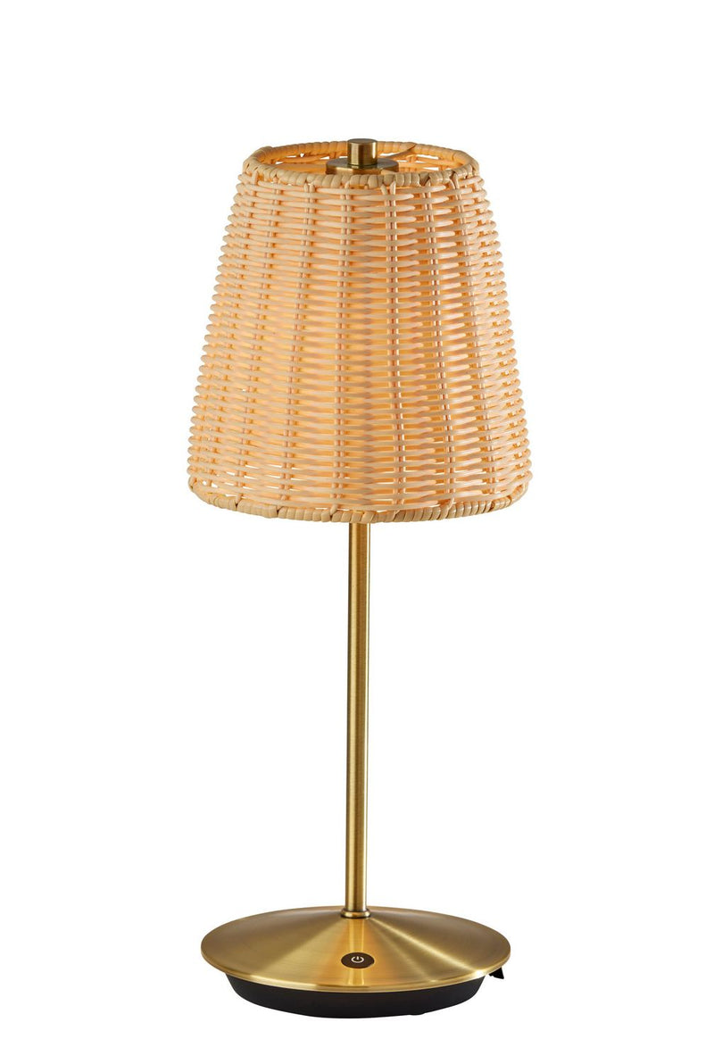 Adesso Home 4074-21 LED Table Lamp, Antique Brass