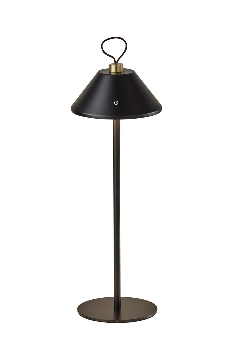 Adesso Home 4091-01 LED Table Lamp, Black & Antique Brass