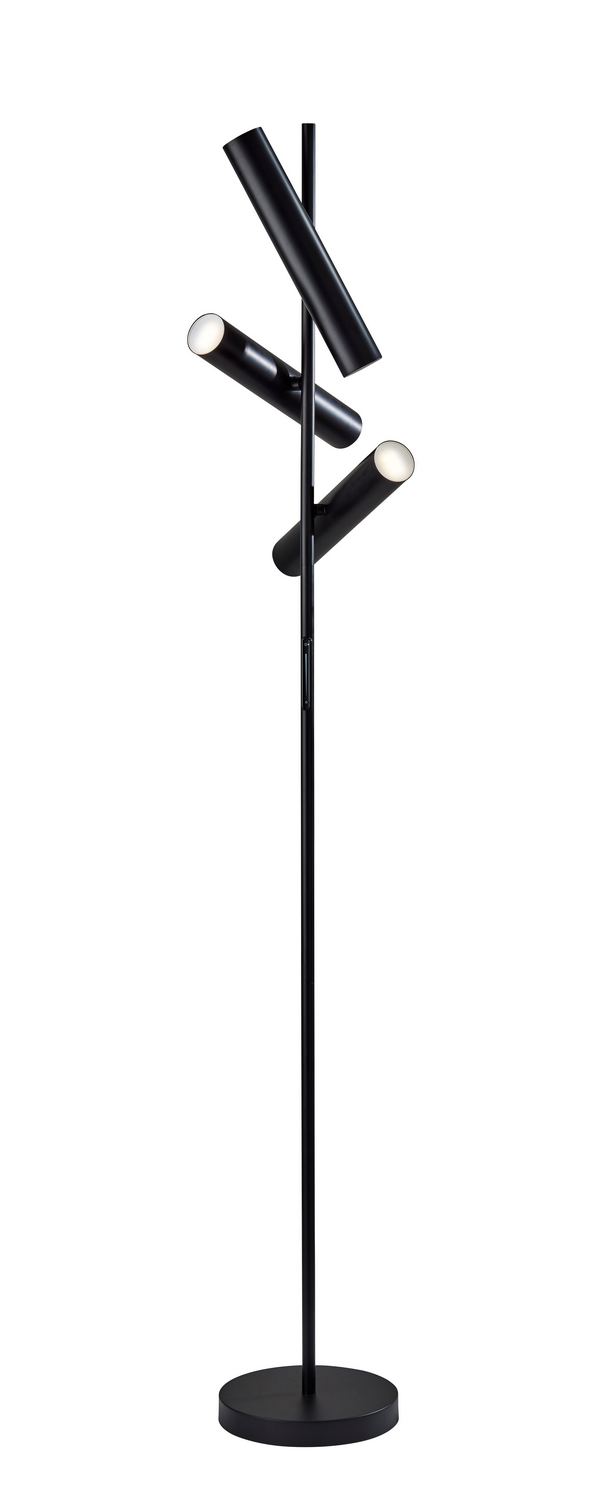 Adesso Home 4216-01 LED Floor Lamp, Black