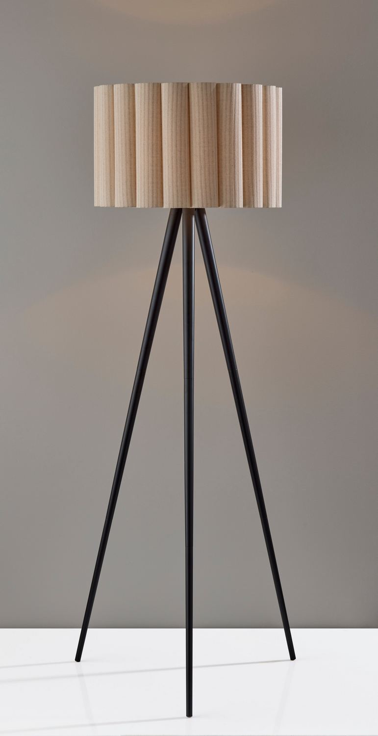 Adesso Home 4227-01 Floor Lamp, Black