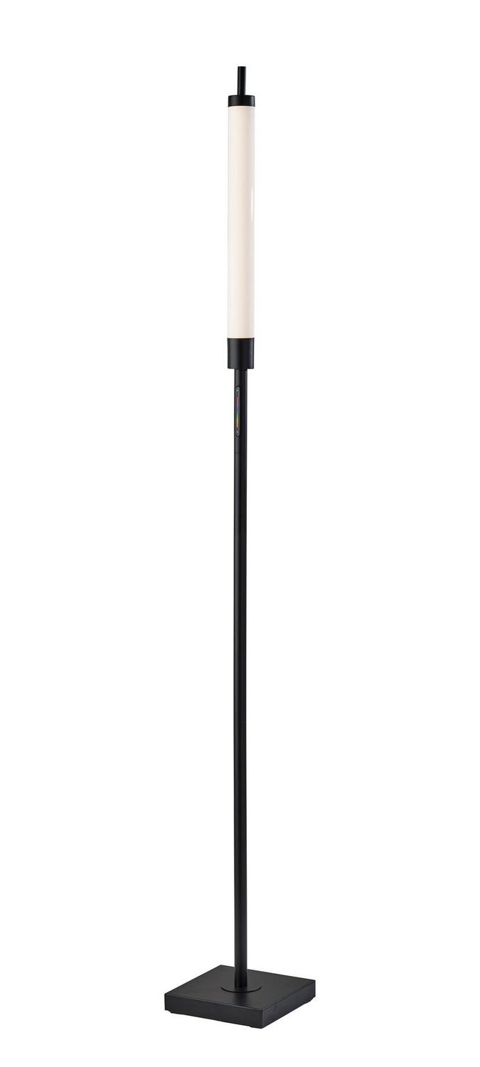 Adesso Home 4298-01 LED Floor Lamp, Black