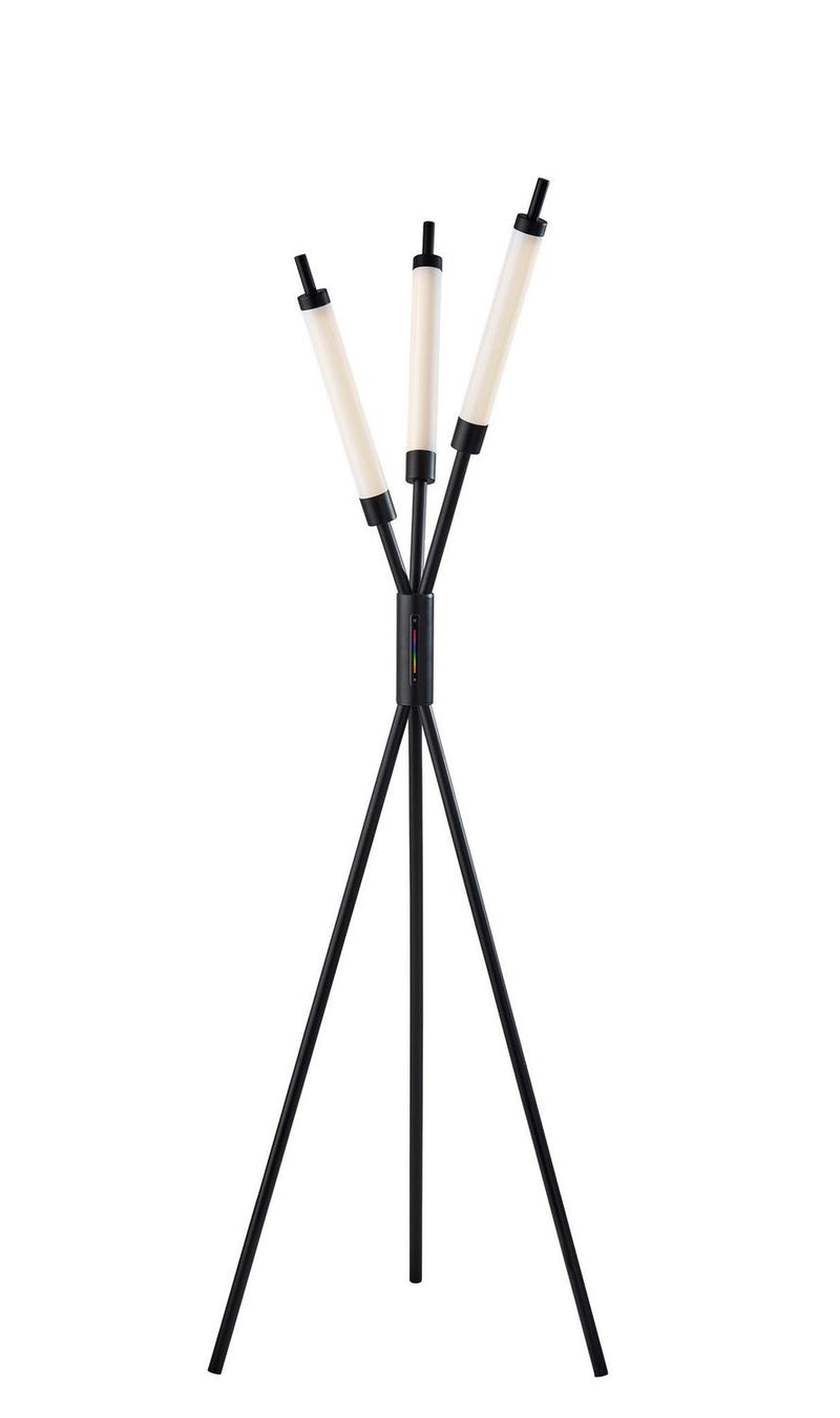 Adesso Home 4299-01 LED Floor Lamp, Black