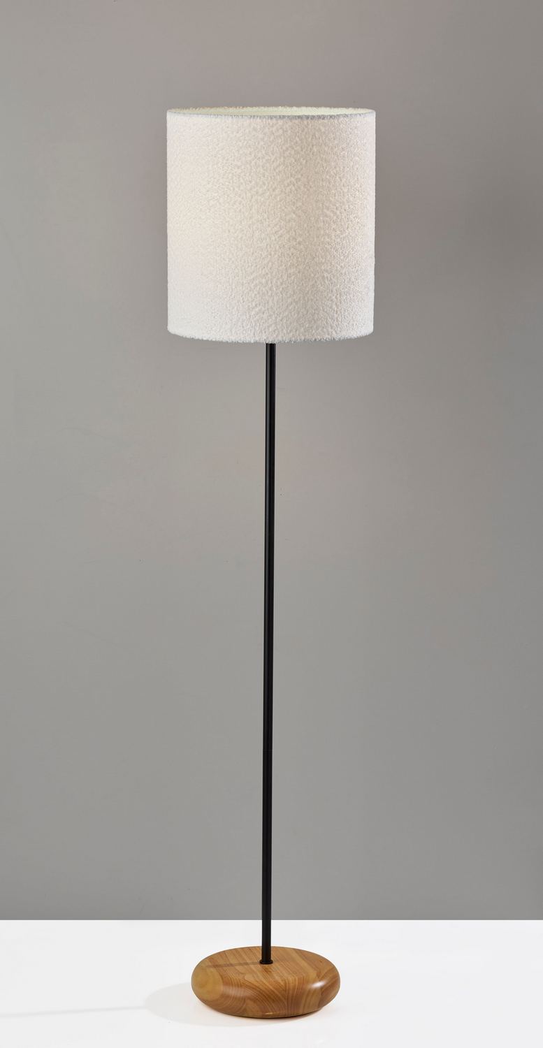 Adesso Home 4349-01 Floor Lamp, Black