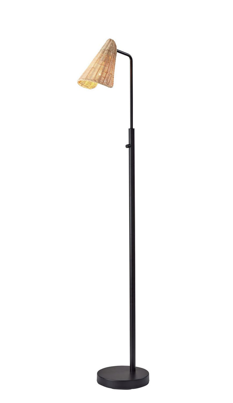 Adesso Home 5113-01 Floor Lamp, Black