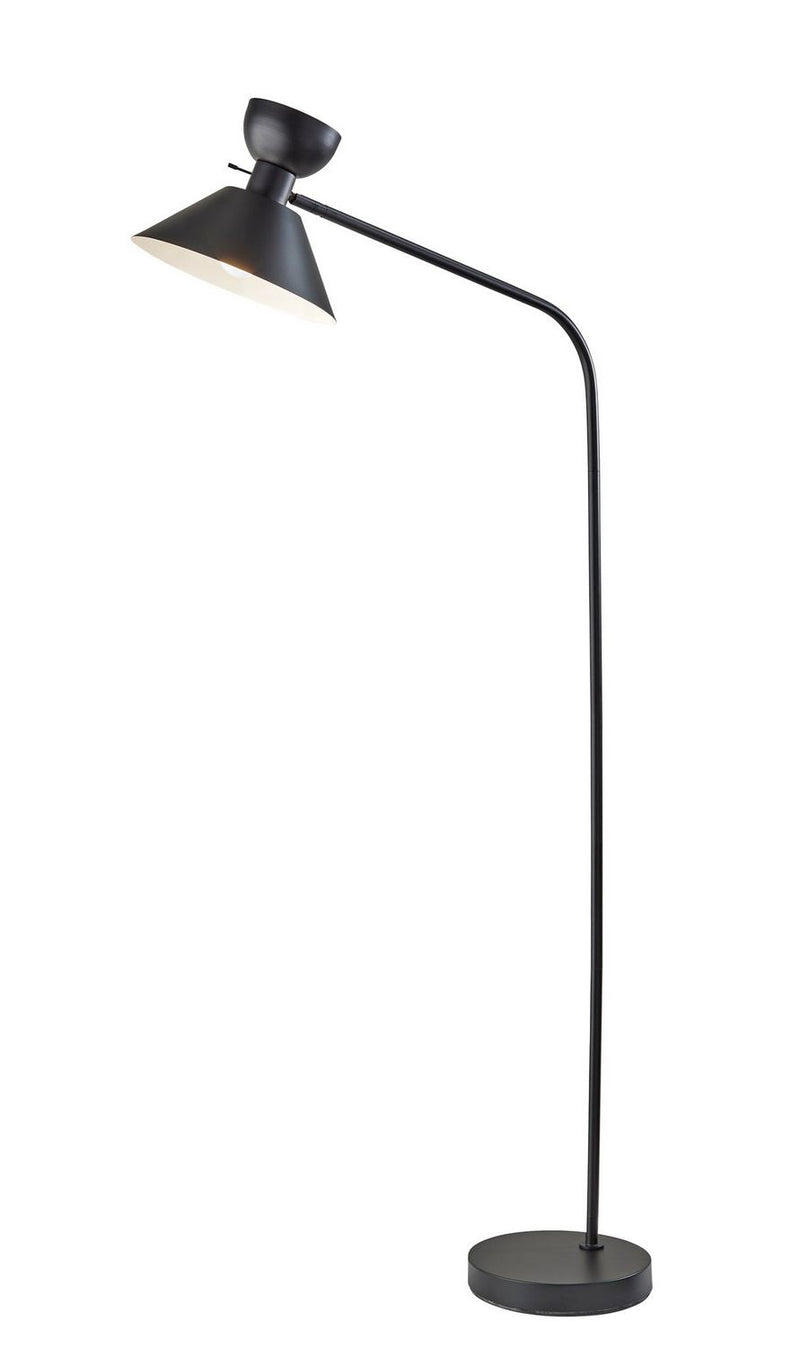 Adesso Home 5141-01 Floor Lamp, Black