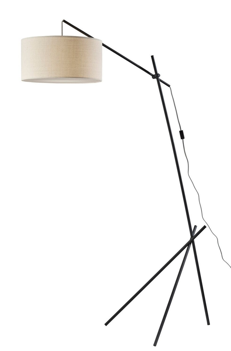 Adesso Home 6032-01 Floor Lamp, Black