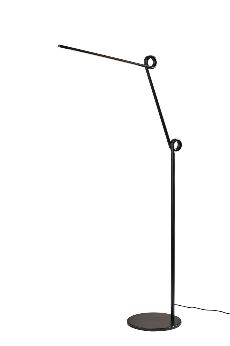 Adesso Home AD9103-01 LED Floor Lamp, Black