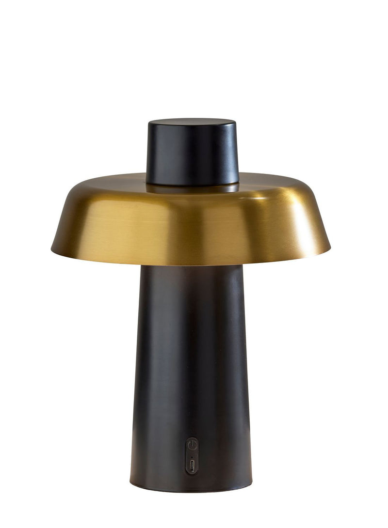 Adesso Home AD9204-01 LED Table Lamp, Black W. Antique Brass