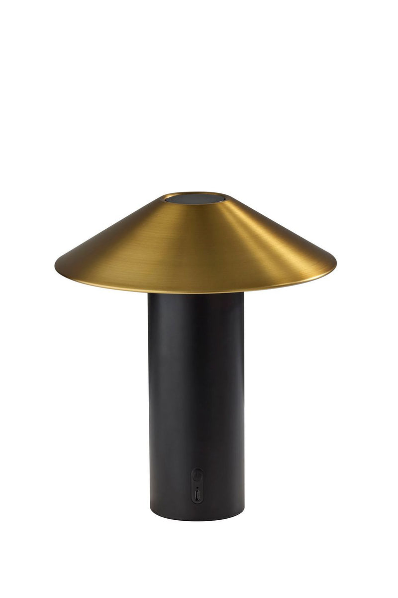 Adesso Home AD9205-01 LED Table Lamp, Black W. Antique Brass