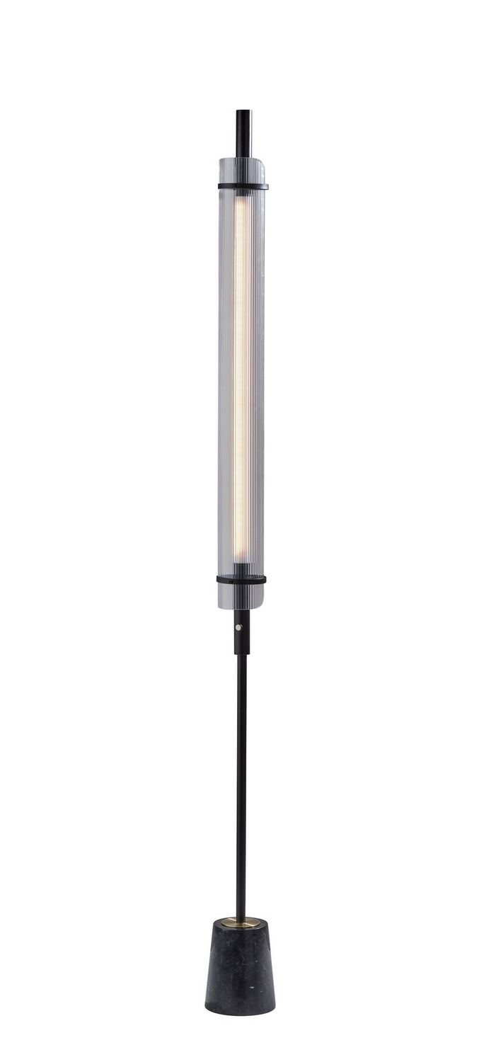 Adesso Home AD9211-01 LED Floor Lamp, Black W. Antique Brass