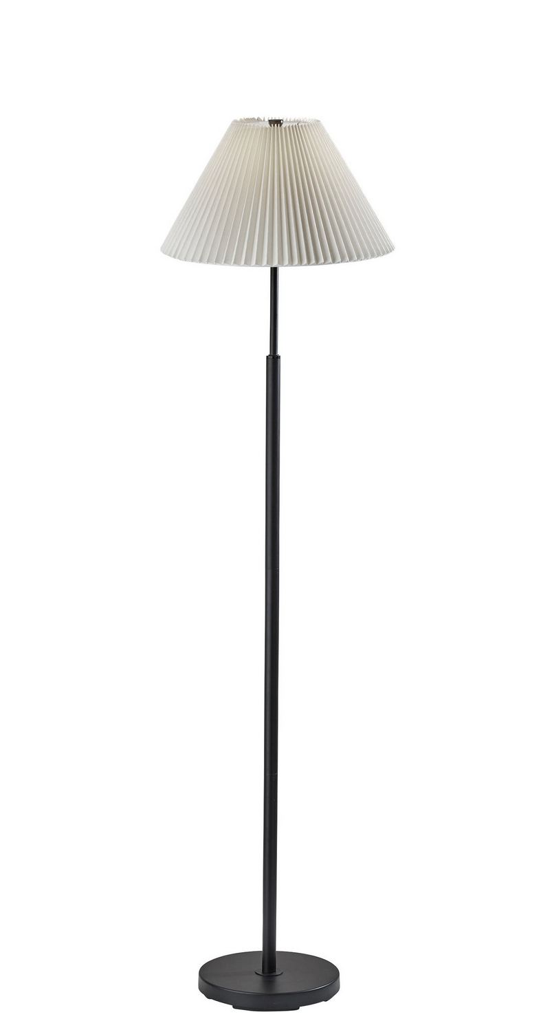 Adesso Home SL9500-01 Floor Lamp, Black