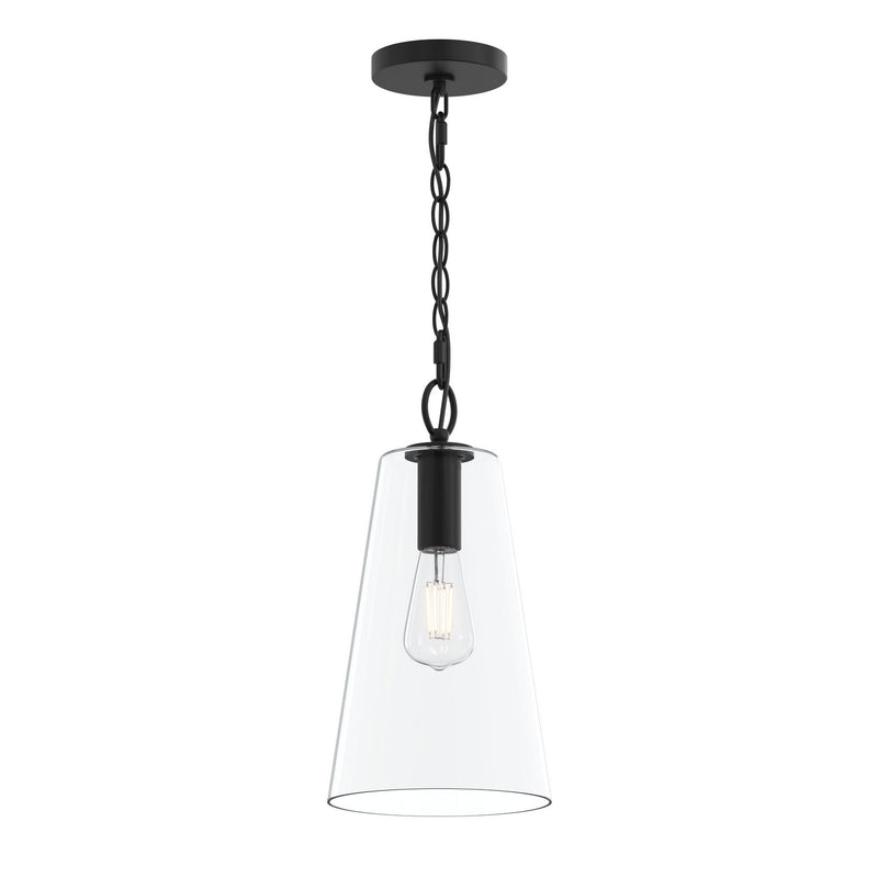Progress Lighting P500511-31M One Light Pendant, Matte Black
