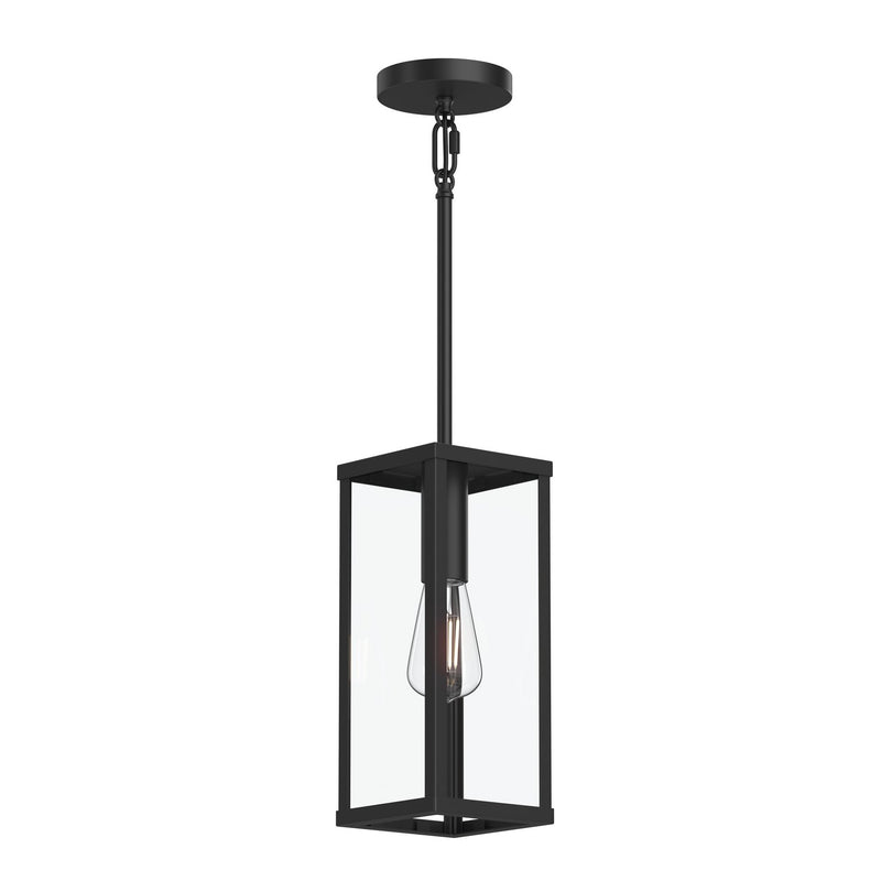 Progress Lighting P550146-31M One Light Outdoor Pendant, Matte Black
