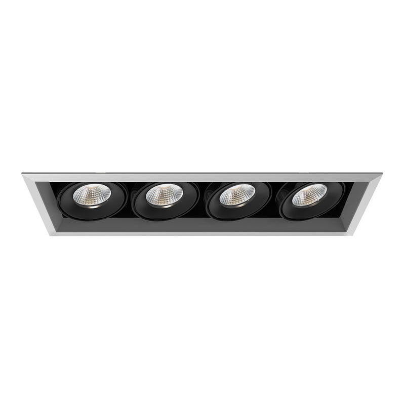 Eurofase TE134ALED-40-4-0N LED Recessed Multiple, Platinum
