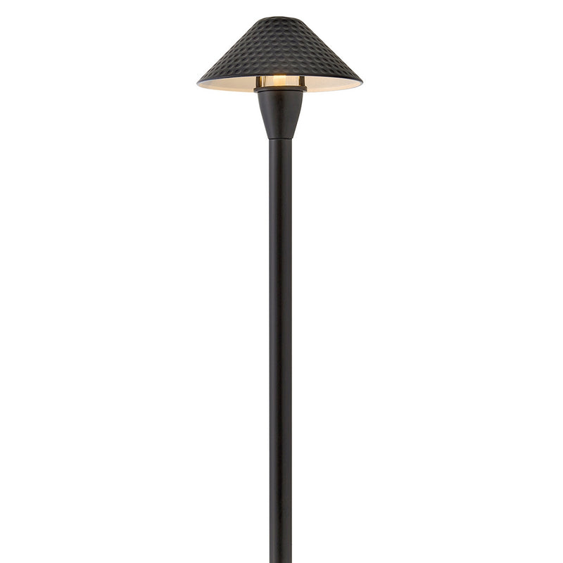 Hinkley 16007BSK-LL LED Path Light, Brass Satin Black