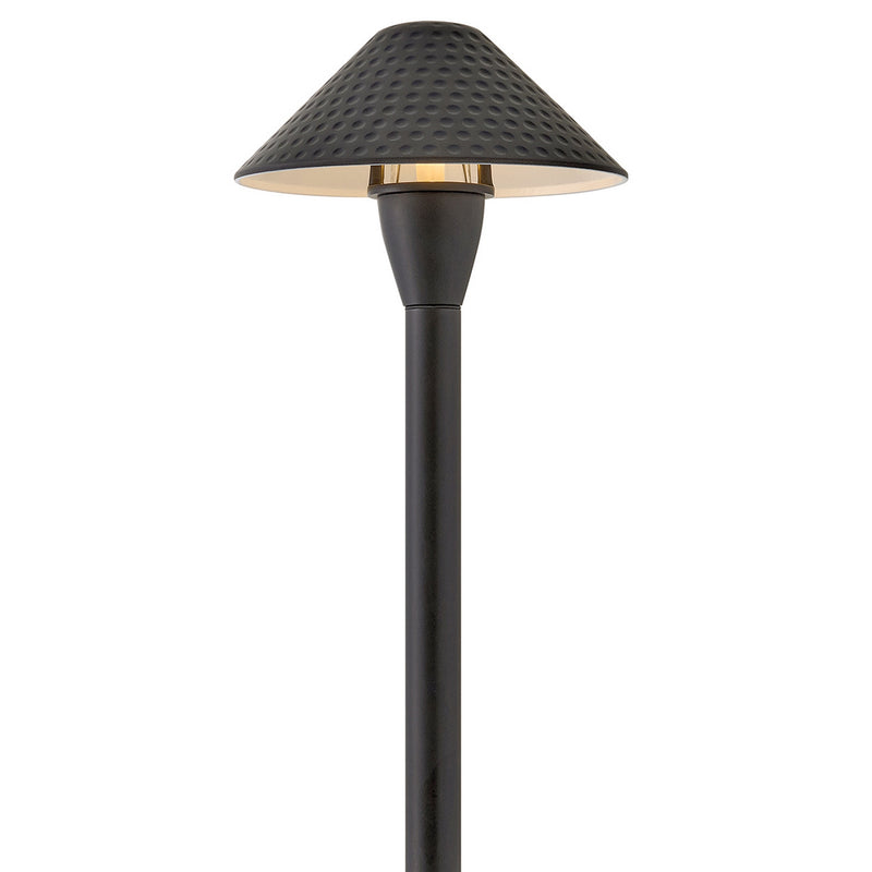 Hinkley 16010BSK-LL LED Path Light, Brass Satin Black