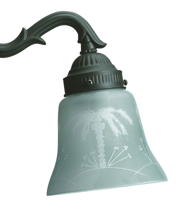 Fanimation G235 2 1/4" Glass, Tropical Etched
