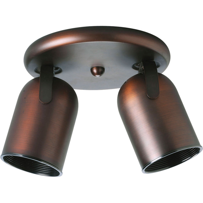 Progress Lighting P6149-174 Two Light Wall/Ceiling Fixture, Urban Bronze