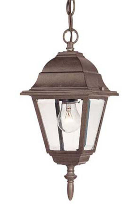 Acclaim Lighting 4006BW One Light Hanging Lantern, Burled Walnut
