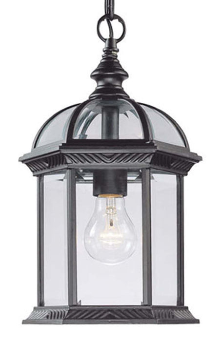 Acclaim Lighting 5276BK One Light Hanging Lantern, Matte Black