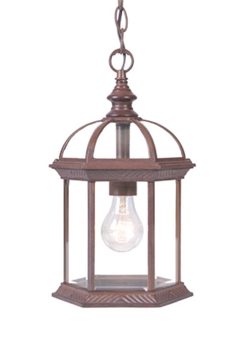 Acclaim Lighting 5276BW One Light Hanging Lantern, Burled Walnut