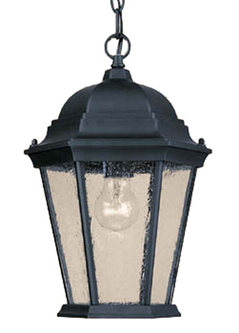 Acclaim Lighting 5206BK/SD One Light Hanging Lantern, Matte Black