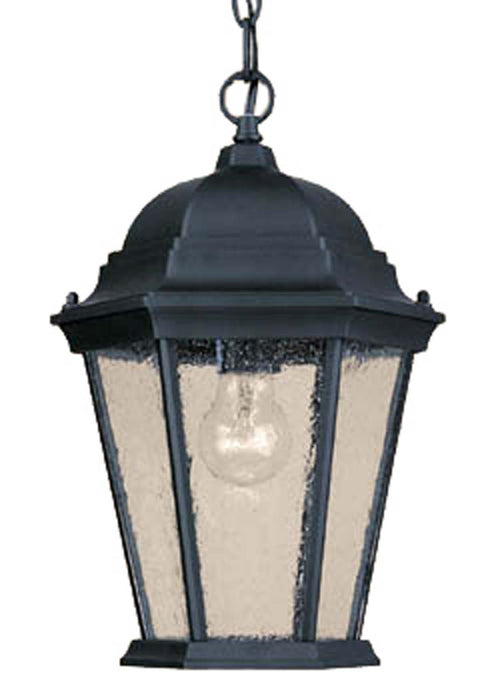 Acclaim Lighting 5206BK/SD One Light Hanging Lantern, Matte Black