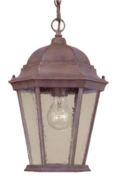 Acclaim Lighting 5206BW/SD One Light Hanging Lantern, Burled Walnut