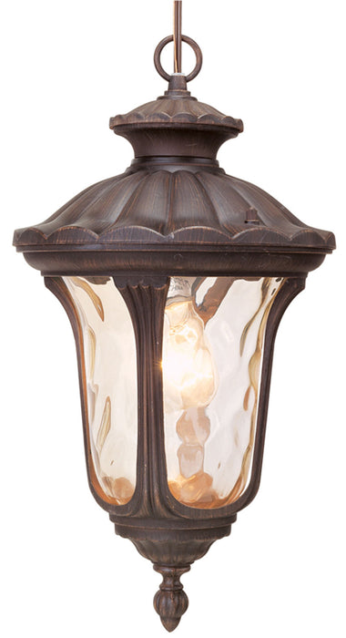 Livex Lighting 7654-58 One Light Outdoor Pendant, Hand Applied Imperial Bronze