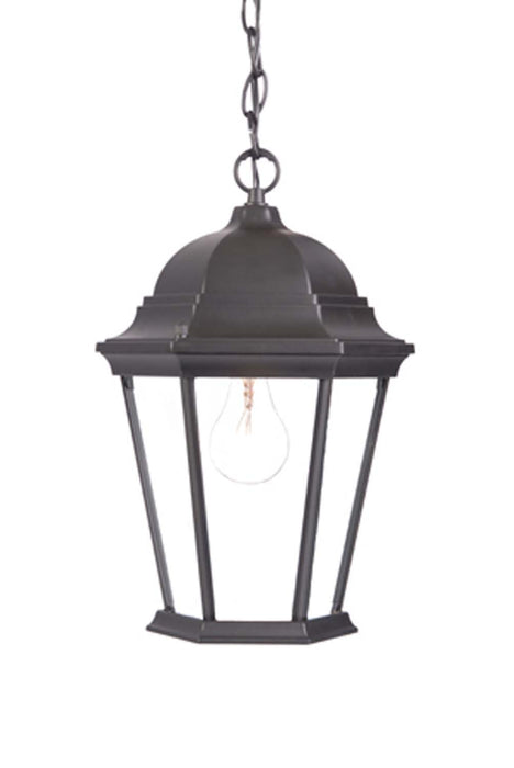 Acclaim Lighting 5206BK One Light Hanging Lantern, Matte Black