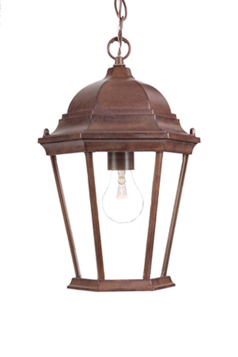 Acclaim Lighting 5206BW One Light Hanging Lantern, Burled Walnut