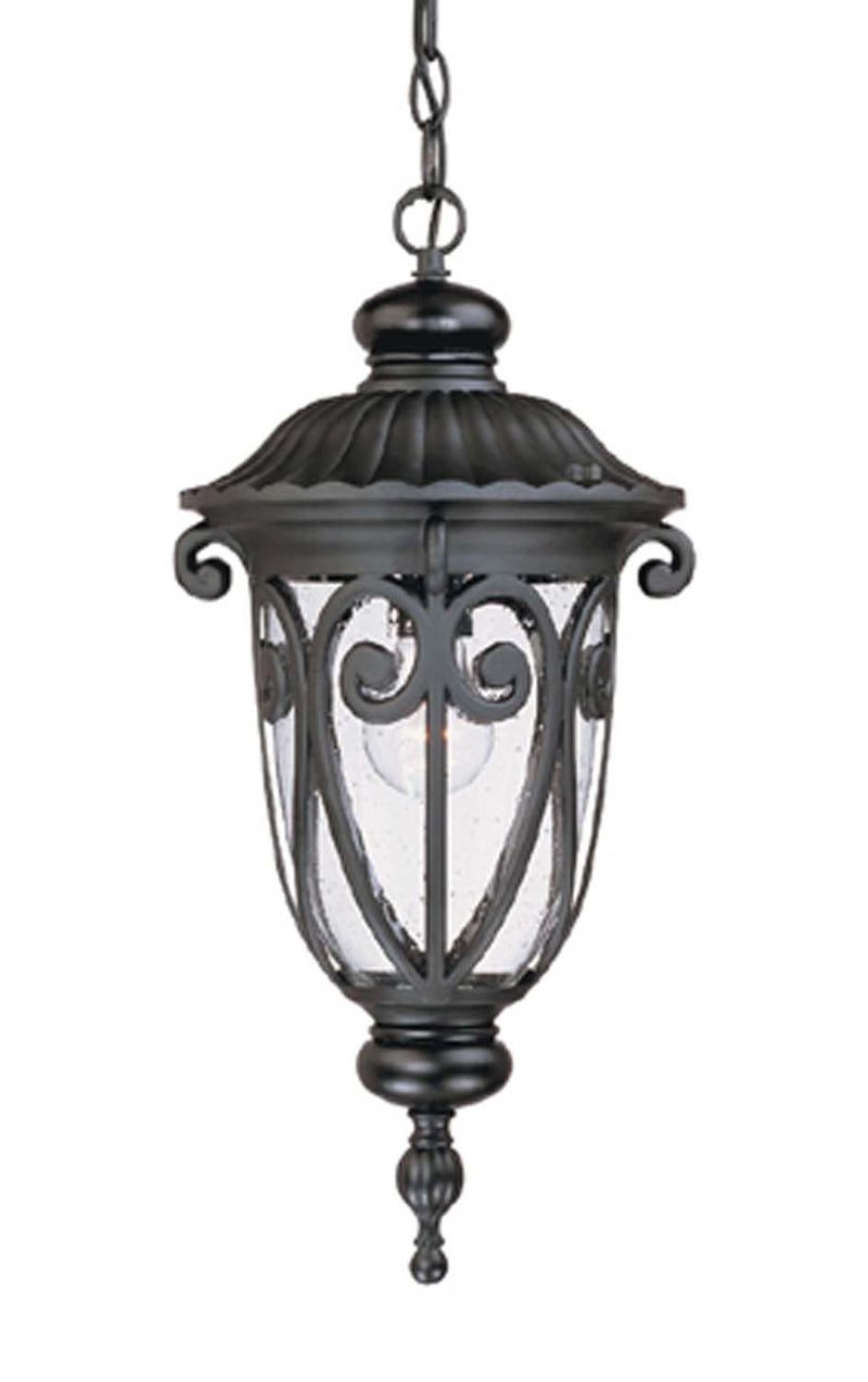 Acclaim Lighting 2116BK One Light Hanging Lantern, Matte Black