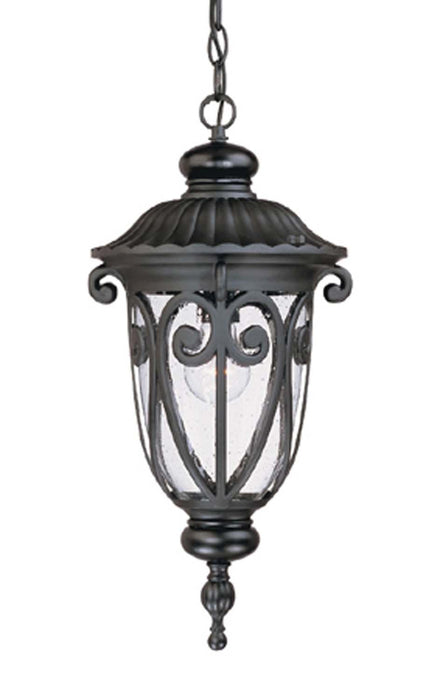 Acclaim Lighting 2116BK One Light Hanging Lantern, Matte Black