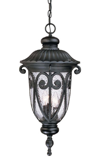 Acclaim Lighting 2126BK Three Light Hanging Lantern, Matte Black