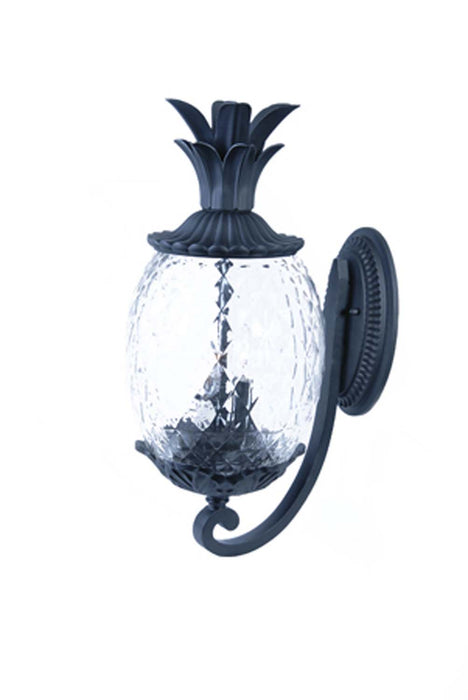 Acclaim Lighting 7501BK Two Light Wall Sconce, Matte Black