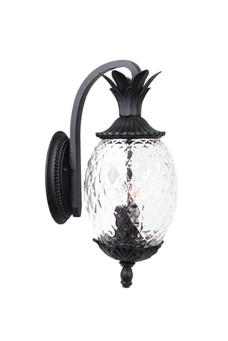 Acclaim Lighting 7502BK Two Light Wall Sconce, Matte Black