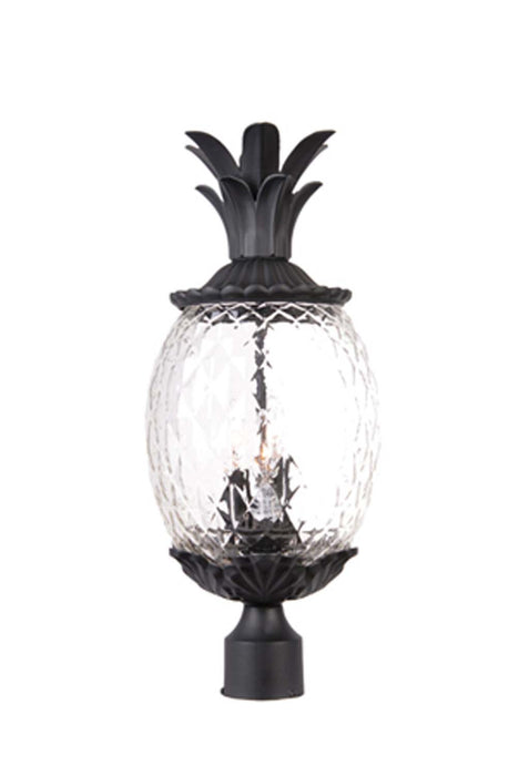 Acclaim Lighting 7517BK Three Light Post Mount, Matte Black