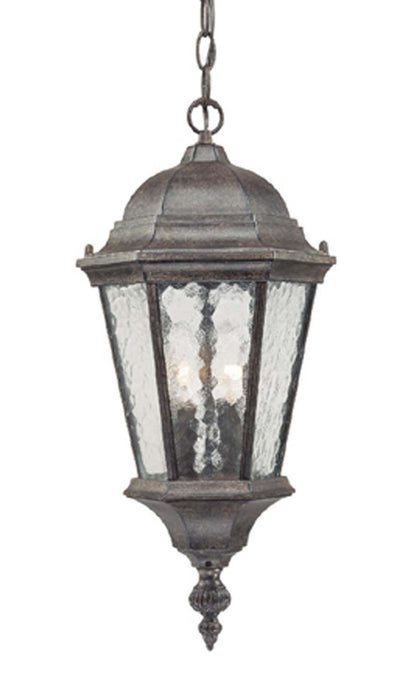 Acclaim Lighting 5516BC Two Light Hanging Lantern, Black Coral