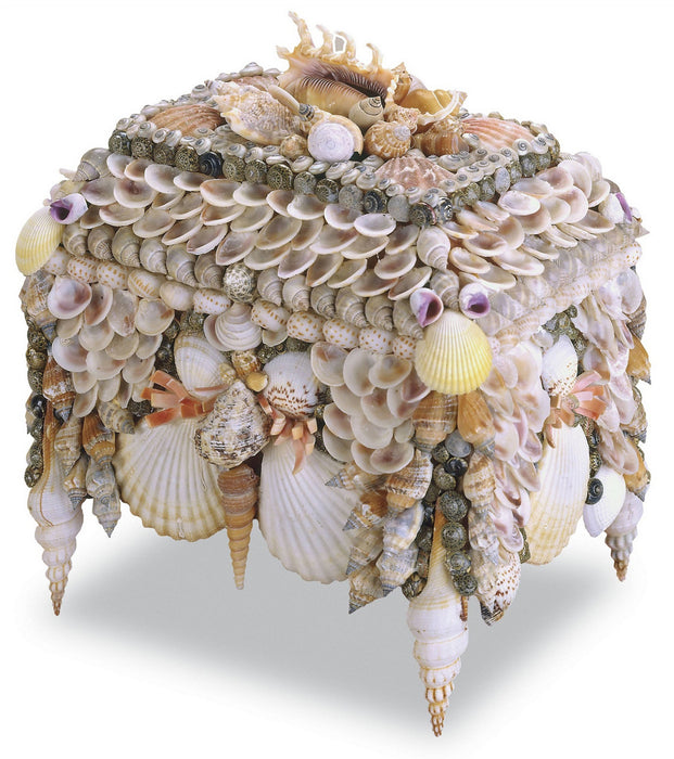 Currey and Company 1251 Jewelry Box, Natural