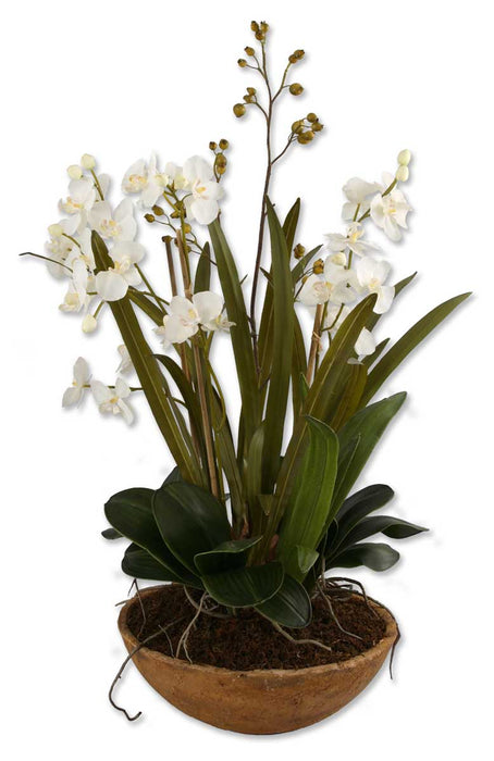 Uttermost 60039 Planter, Natural Brown
