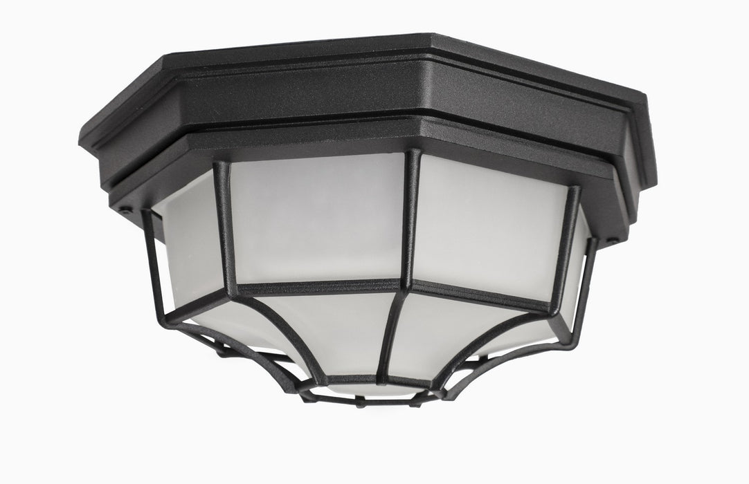 Maxim 1020BK Two Light Outdoor Ceiling Mount, Black