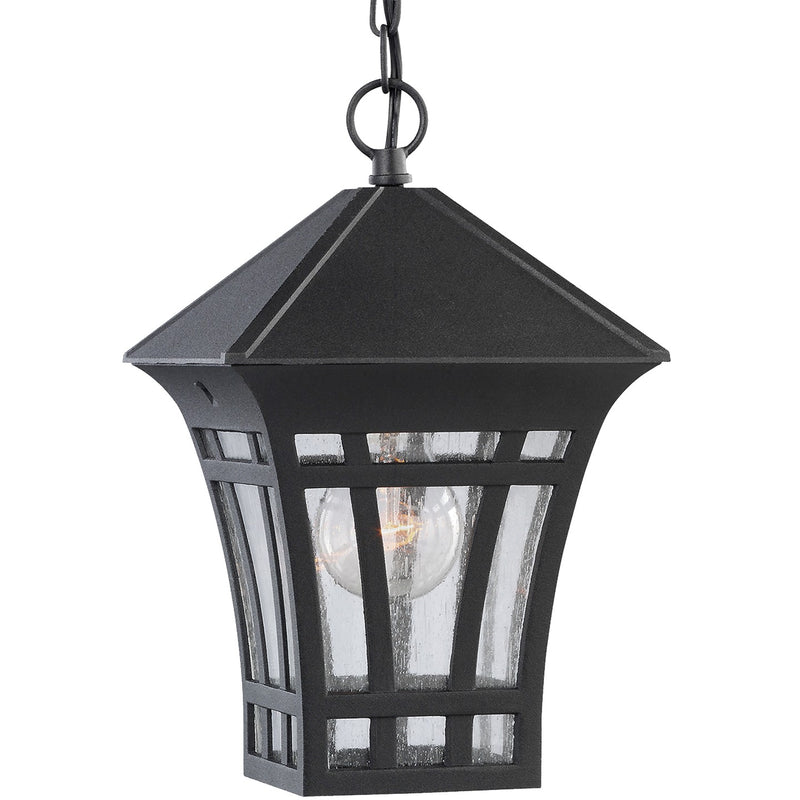 Generation Lighting 60131-12 One Light Outdoor Pendant, Black