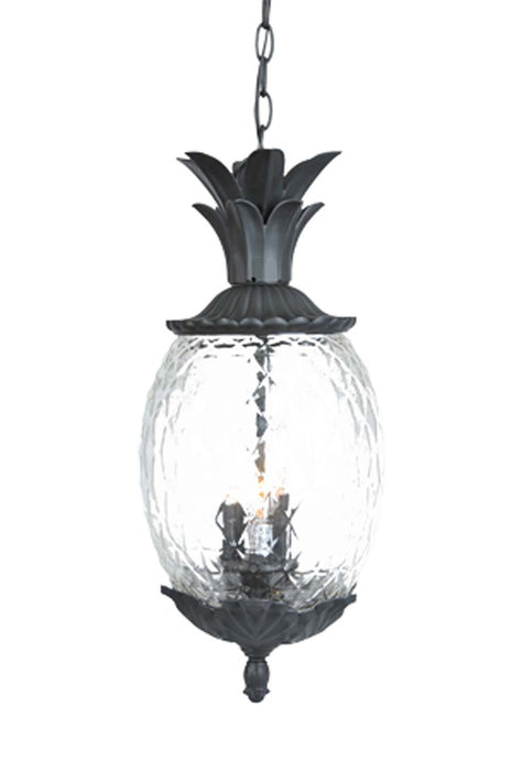 Acclaim Lighting 7516BK Three Light Hanging Lantern, Matte Black