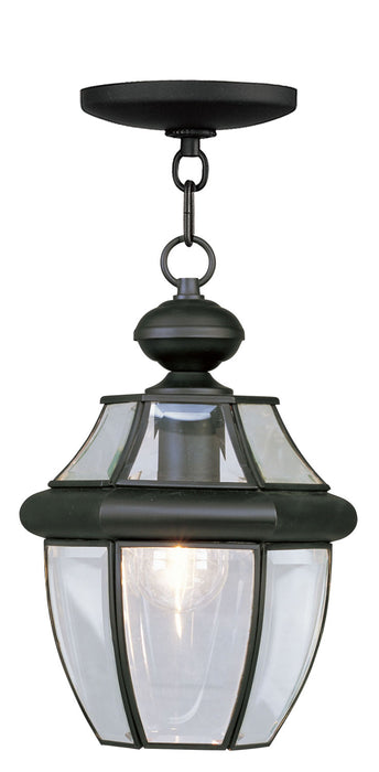 Livex Lighting 2152-04 One Light Outdoor Pendant, Black