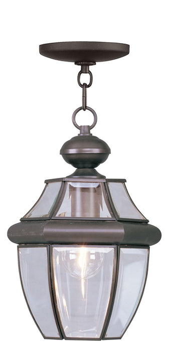 Livex Lighting 2152-07 One Light Outdoor Pendant, Bronze