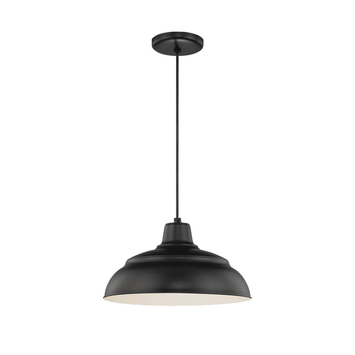 Millennium RWHC14-SB One Light Pendant, Satin Black